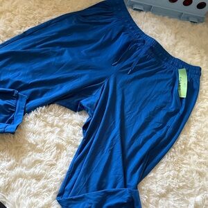 Torrid Vibrant Blue Lounge Pants